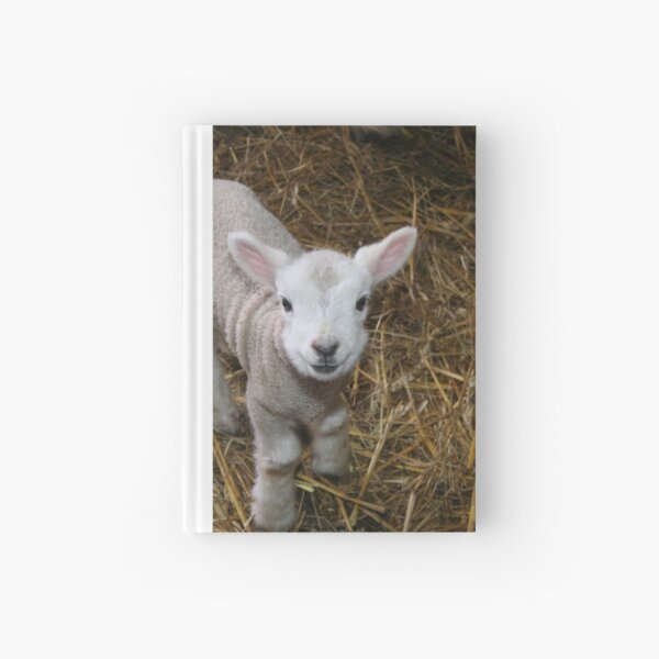 Item preview, Happy Little Lamb designed and sold by XCEEDTRANSITION.