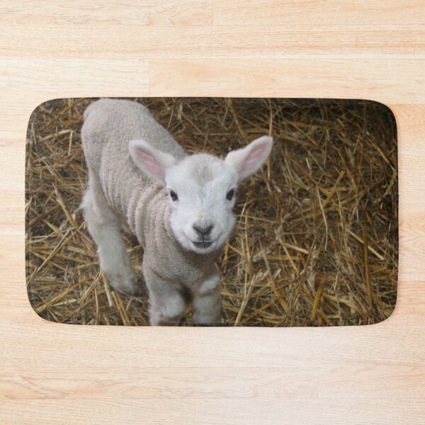 Item preview, Happy Little Lamb designed and sold by XCEEDTRANSITION.
