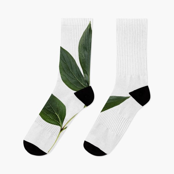 Item preview, Green Botanical Peony Leaves  designed and sold by Neal Moran.