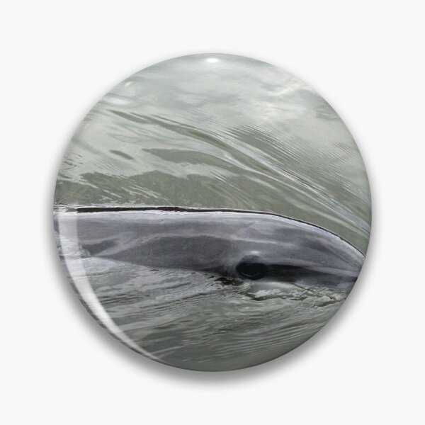 Item preview, Dolphin Sailing designed and sold by XCEEDTRANSITION.