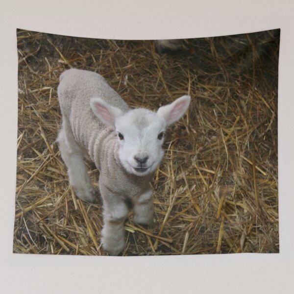 Item preview, Happy Little Lamb designed and sold by XCEEDTRANSITION.
