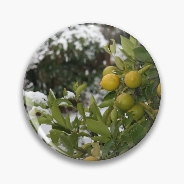 Item preview, Lemon Ice designed and sold by coffeebean.