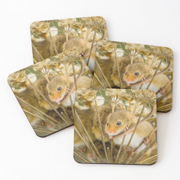 Item preview, Playful Harvest Mice designed and sold by Jane Stanley Photography.