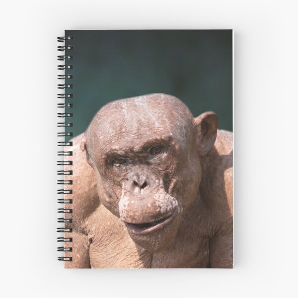 Item preview, Muscular Jambo The Hairless Chimp designed and sold by rawshutterbug.