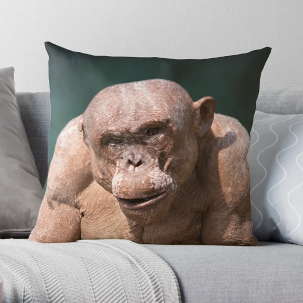 Gorilla Lope's Grin Throw Pillow for Sale by rawshutterbug