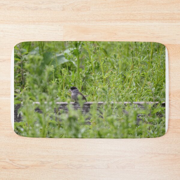 Item preview, Male Blackcap Bird designed and sold by rwhooster.