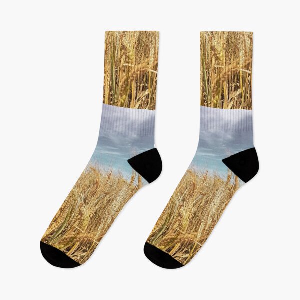 Item preview, Golden Wheat field under blue sky designed and sold by visualteo.