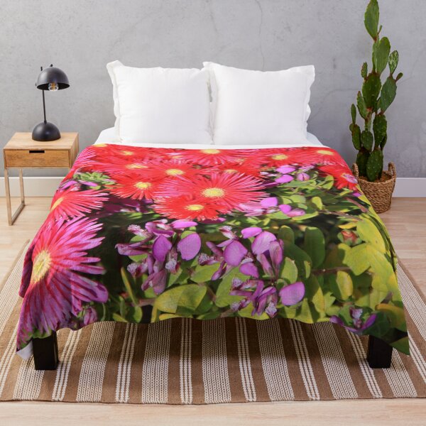 Item preview, Bright colorful flowers of chrysanthemum in Corsica designed and sold by EstelleRossetti.