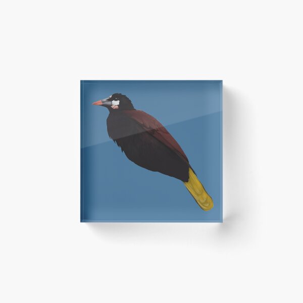 Item preview, Oropendola designed and sold by Mayakiwi.