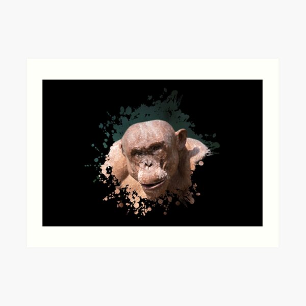 Muscular Jambo The Hairless Chimp (Splatter Design) Art Print