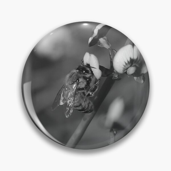 Item preview, Flying Bee Bee Collecting Pea Flower Bees Black And White designed and sold by Jason Gilbert.