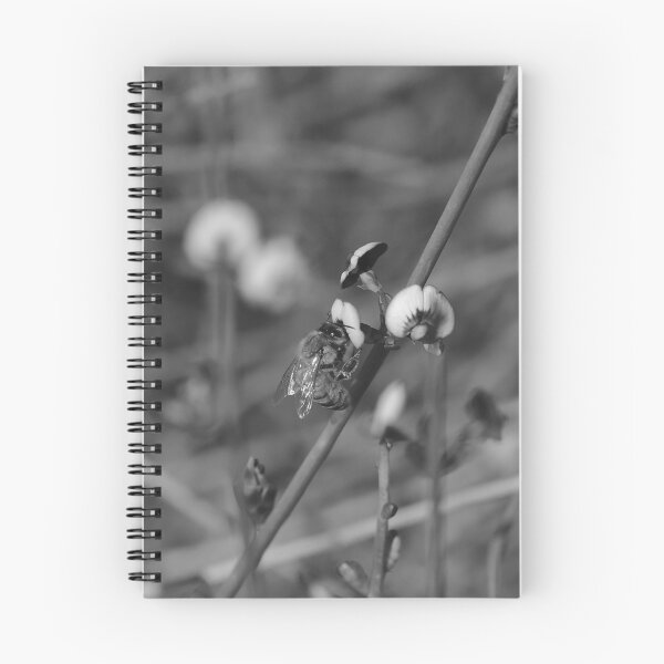 Item preview, Flying Bee Bee Collecting Pea Flower Bees Black And White designed and sold by Jason Gilbert.