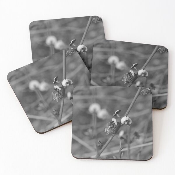 Item preview, Flying Bee Bee Collecting Pea Flower Bees Black And White designed and sold by Jason Gilbert.