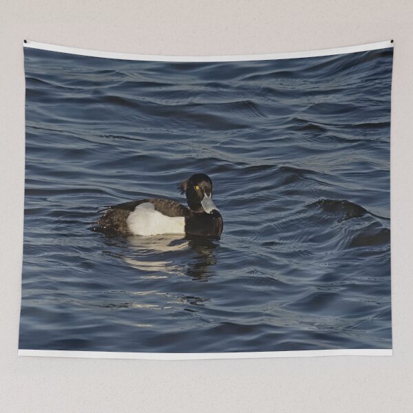 Item preview, Tufted duck in the lake designed and sold by xophotography.