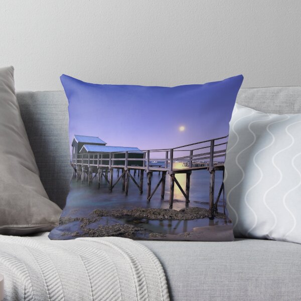 Throw Pillow
