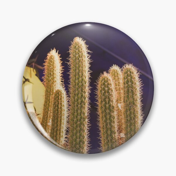 Item preview, blue cactus botanic garden in Marrakech morocco, colorful house of ysl  designed and sold by Morocco Marrakech Photo Prints.