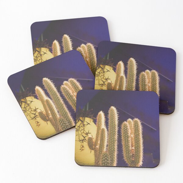 Item preview, blue cactus botanic garden in Marrakech morocco, colorful house of ysl  designed and sold by Morocco Marrakech Photo Prints.