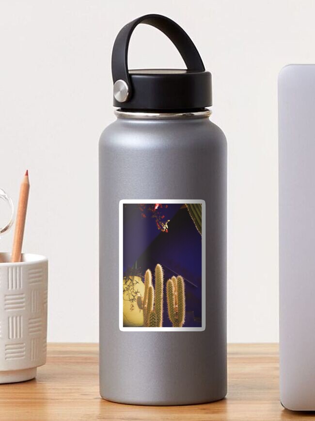 ysl water bottle