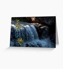 Foreground Greeting Card