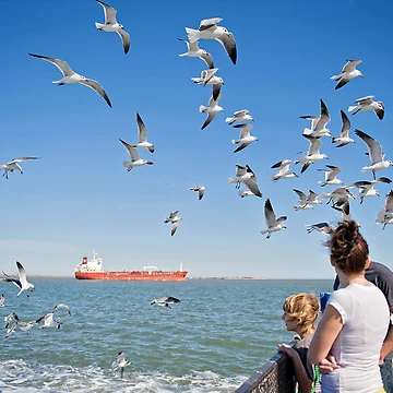 Imagen de la obra Ferry Ride de Bonnie T. Barry