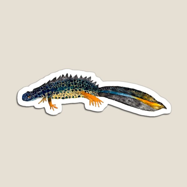 Item preview, Great Crested Newt designed and sold by LorettaLok.