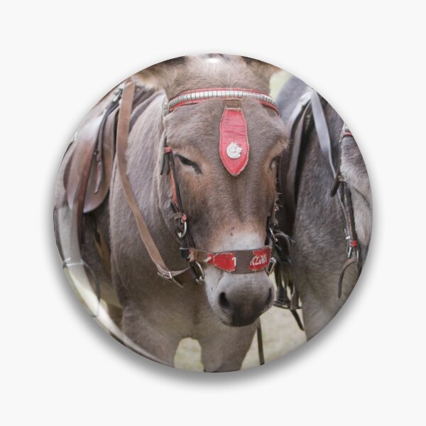 Item preview, Three Donkeys Lined Up Together designed and sold by Paul Thompson Photography.