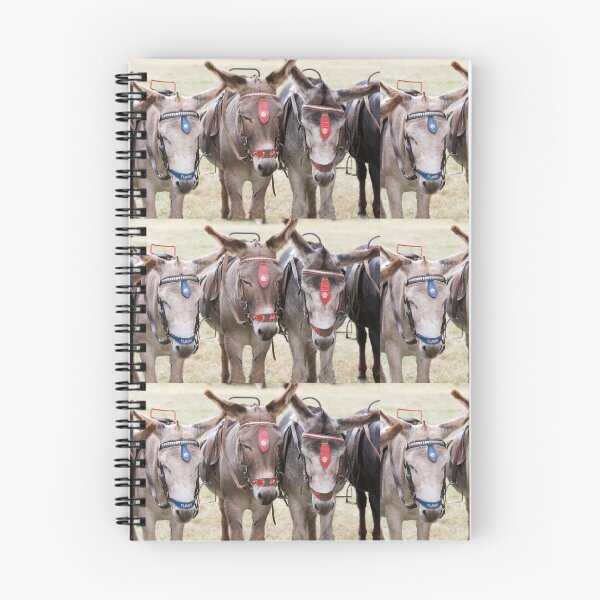 Item preview, Three Donkeys Lined Up Together designed and sold by Paul Thompson Photography.
