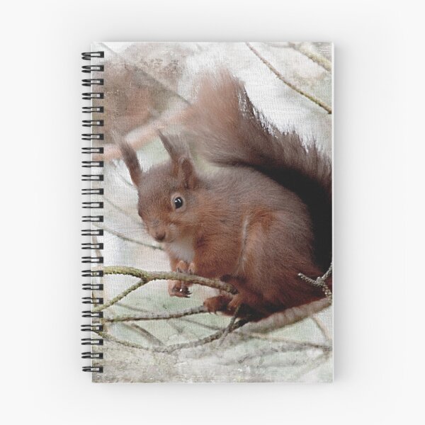 Item preview, Squirrel on the branches  designed and sold by HaleyRedshaw.