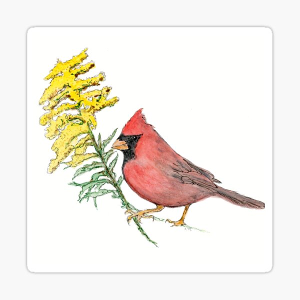 Kentucky State Bird and Flower Sticker