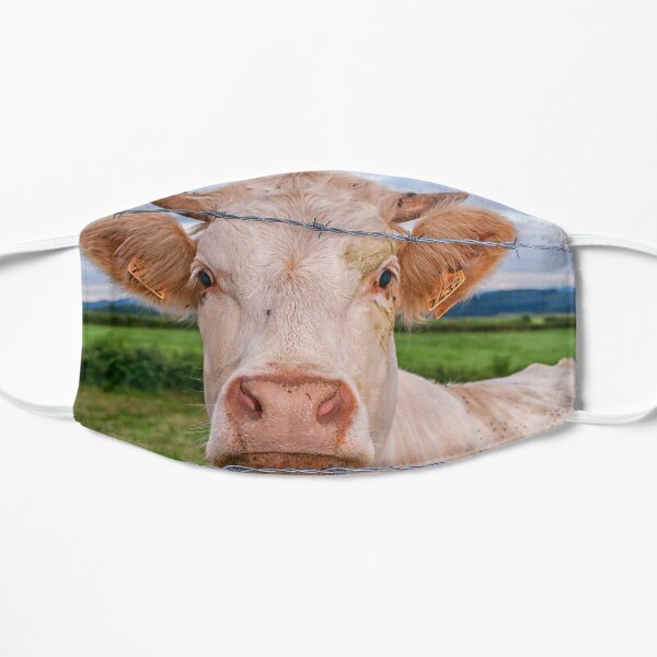 Curious cow Flat Mask