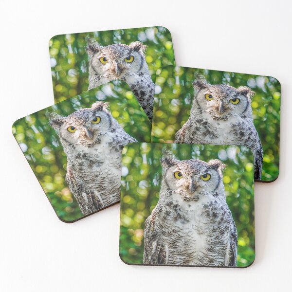 Item preview, Great Horned Owl designed and sold by Photopat.