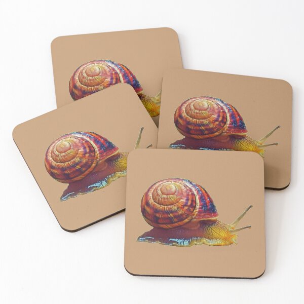 Item preview, Scrawling edible snail designed and sold by helenkaiy.