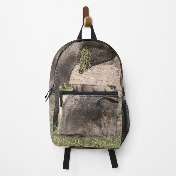Item preview, Indian elephant eating grass designed and sold by Photopat.