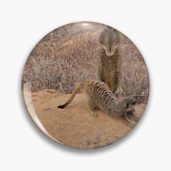 Item preview, Wild  Meerkats designed and sold by Photopat.