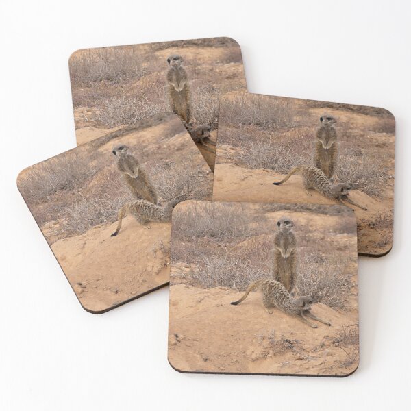 Item preview, Wild  Meerkats designed and sold by Photopat.