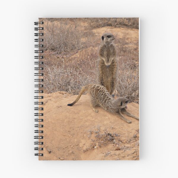 Item preview, Wild  Meerkats designed and sold by Photopat.