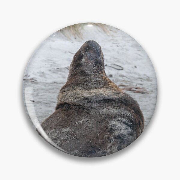 Item preview, Big sealion on beach designed and sold by Photopat.