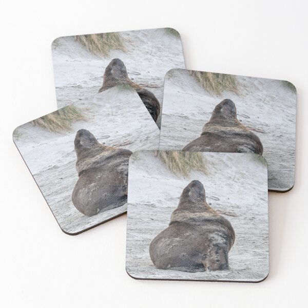 Item preview, Big sealion on beach designed and sold by Photopat.