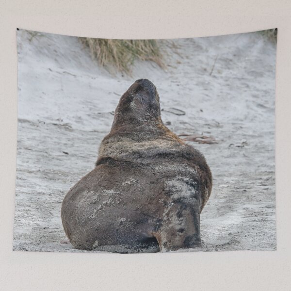 Item preview, Big sealion on beach designed and sold by Photopat.