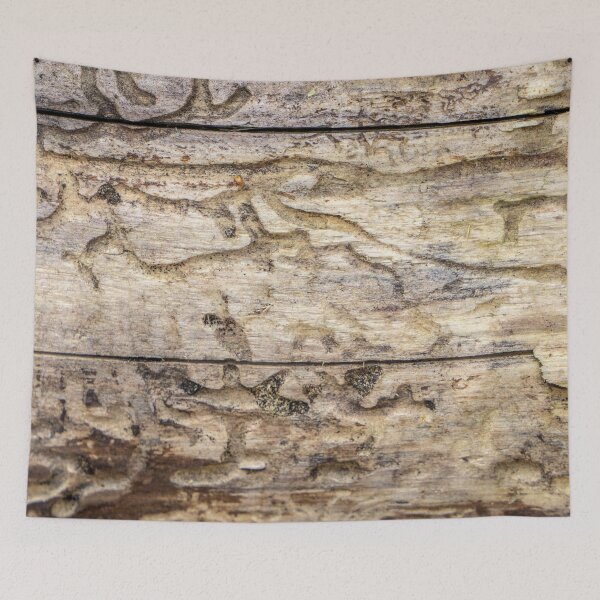 Item preview, Bark beetle race track designed and sold by MarionsArt.