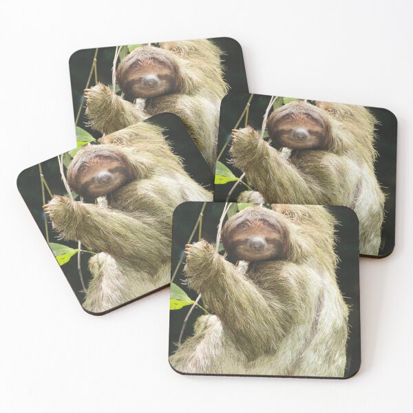 Item preview, Smiling sloth designed and sold by jmwilesphotos.