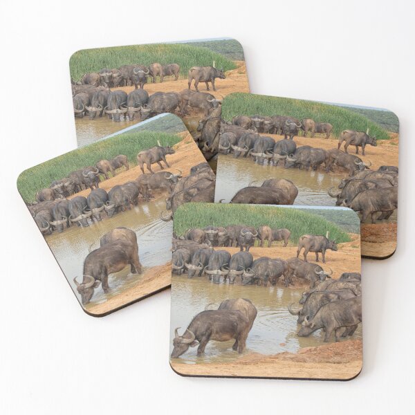 Item preview, Cape buffalos at waterhole designed and sold by Photopat.