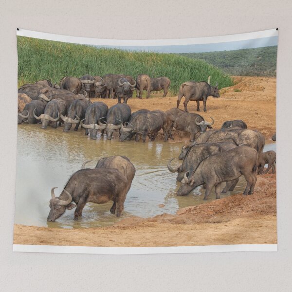 Item preview, Cape buffalos at waterhole designed and sold by Photopat.