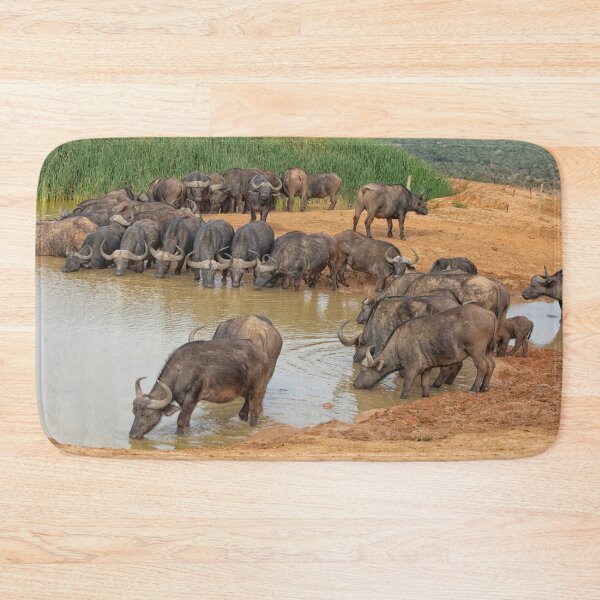 Item preview, Cape buffalos at waterhole designed and sold by Photopat.
