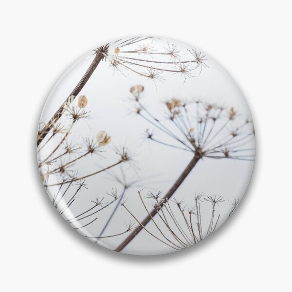 Item preview, Dried Cow Parsley Seed Heads designed and sold by Richard Nixon.