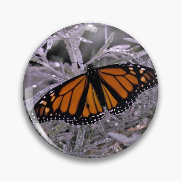 Item preview, Monarch Butterfly after the Sun Shower designed and sold by imaginethis.