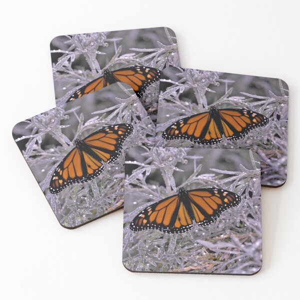 Item preview, Monarch Butterfly after the Sun Shower designed and sold by imaginethis.