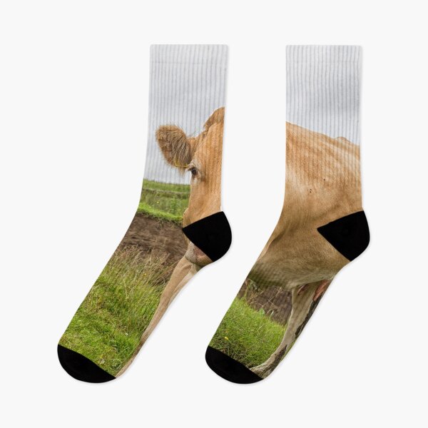 Item preview, Big cow in farmland designed and sold by Photopat.