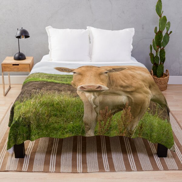 Item preview, Big cow in farmland designed and sold by Photopat.