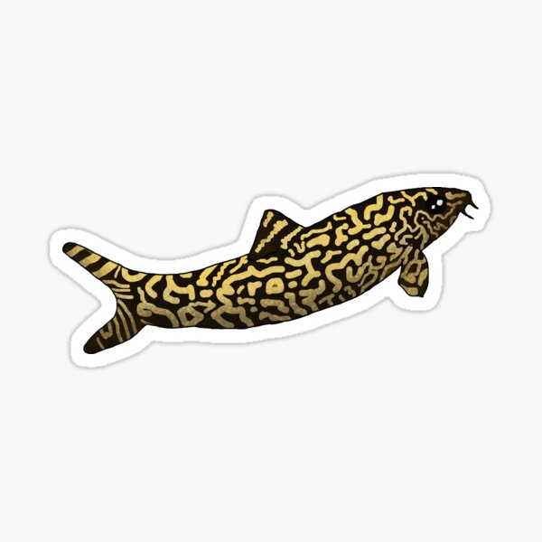 Item preview, Yoyo Loach designed and sold by Moopichino.
